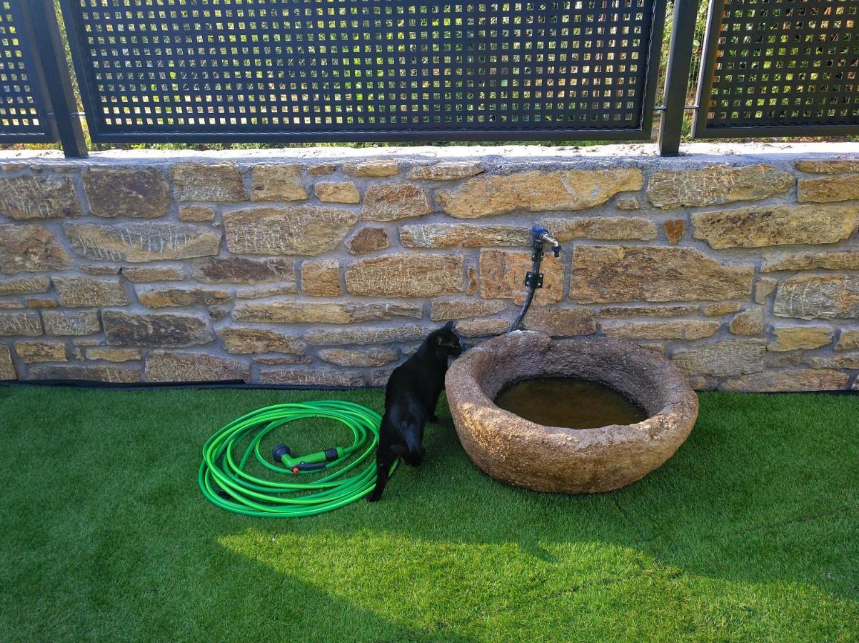 Casa Rural El Gato Negro Trefacio 外观 照片